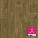 Линолеум Tarkett Triumph MASTER OAK 7  | FLOORDEALER